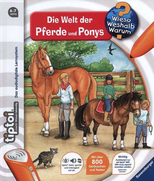 Spiel 3153.0